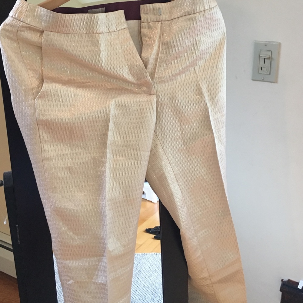 COPY - Gold shimmer ankle length HM pants